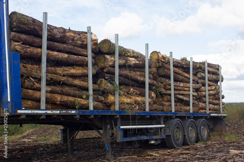 Wallpaper Mural trailers loaded with logs and firewood Torontodigital.ca