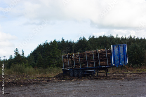 Wallpaper Mural trailers loaded with logs and firewood Torontodigital.ca
