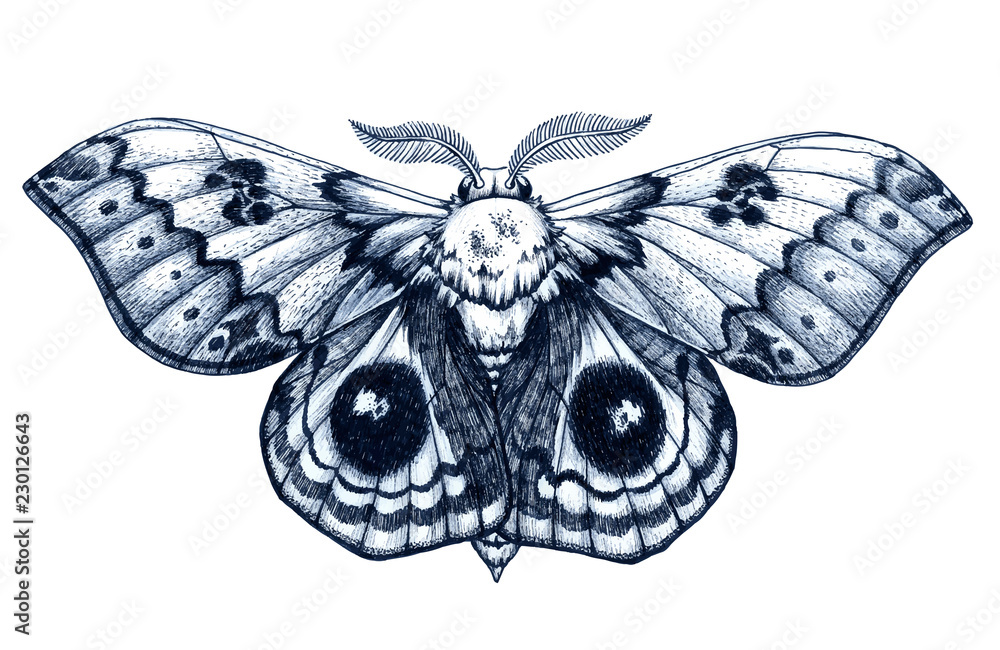 Buy Ornamental Butterfly and Moth Tattoo Flash 3 Online in India  Etsy