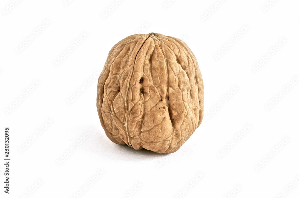 walnut isolated on white background walnut isolated on white background