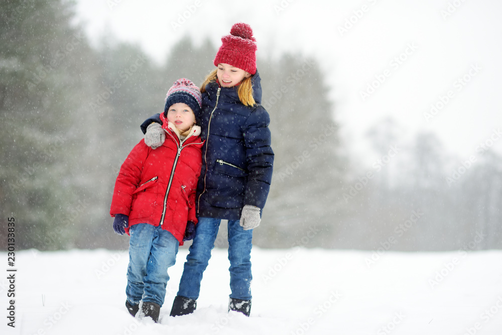 Two adorable little girls having fun together in beautiful winter park. Beautiful sisters playing in a snow.