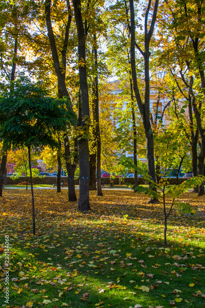 Taras Shevchenko Park (Green Building)