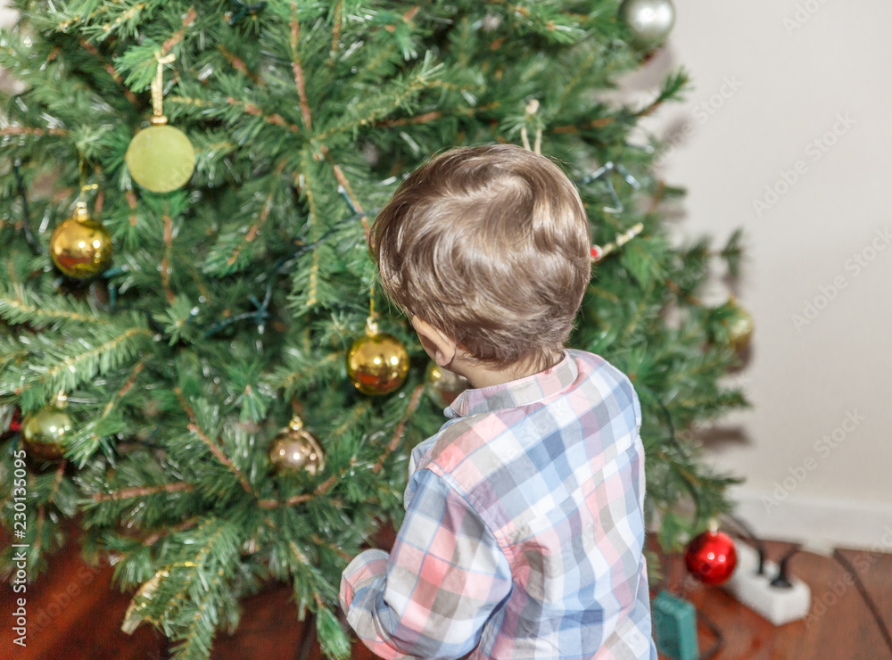 A tender child, puts some balls in a nice decorated Christmas tree, in the living room A tender child, puts some balls in a nice decorated Christmas tree, in the living room