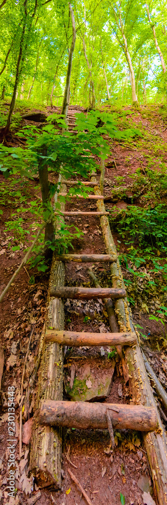 Beautiful view of a long, wooden staircase in a thick green forest.