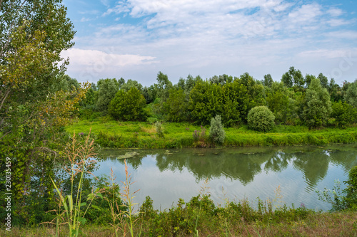 Fototapeta Naklejka Na Ścianę i Meble -  Small river with reflections and green lush vegetation on either side