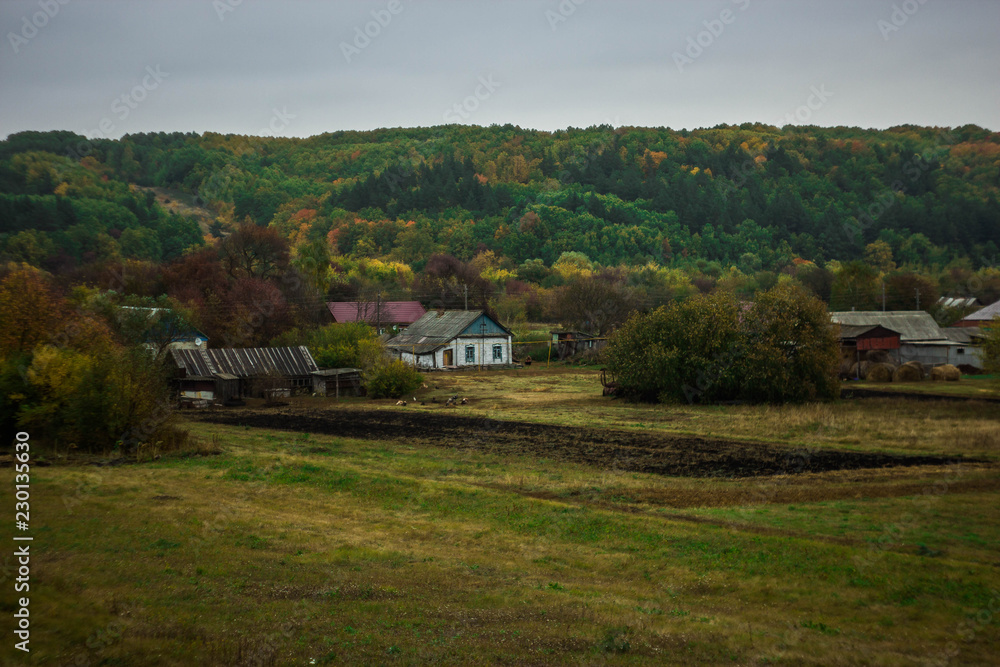 rural landscape in Russia