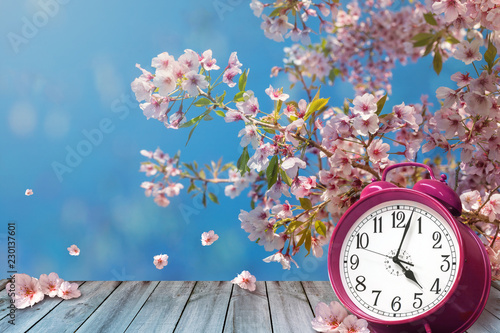 Clock and spring cherry flowers on wooden table - daylight saving time concept photo