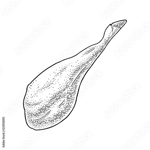 Jamon leg. Vintage black vector engraving illustration. Isolated on white background.