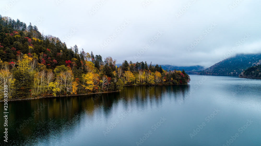 Fototapeta premium 湖の秋