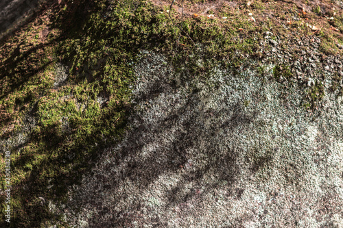 A big stonewall stone covered with moss. wallpaper, background, nature, surface, gray;