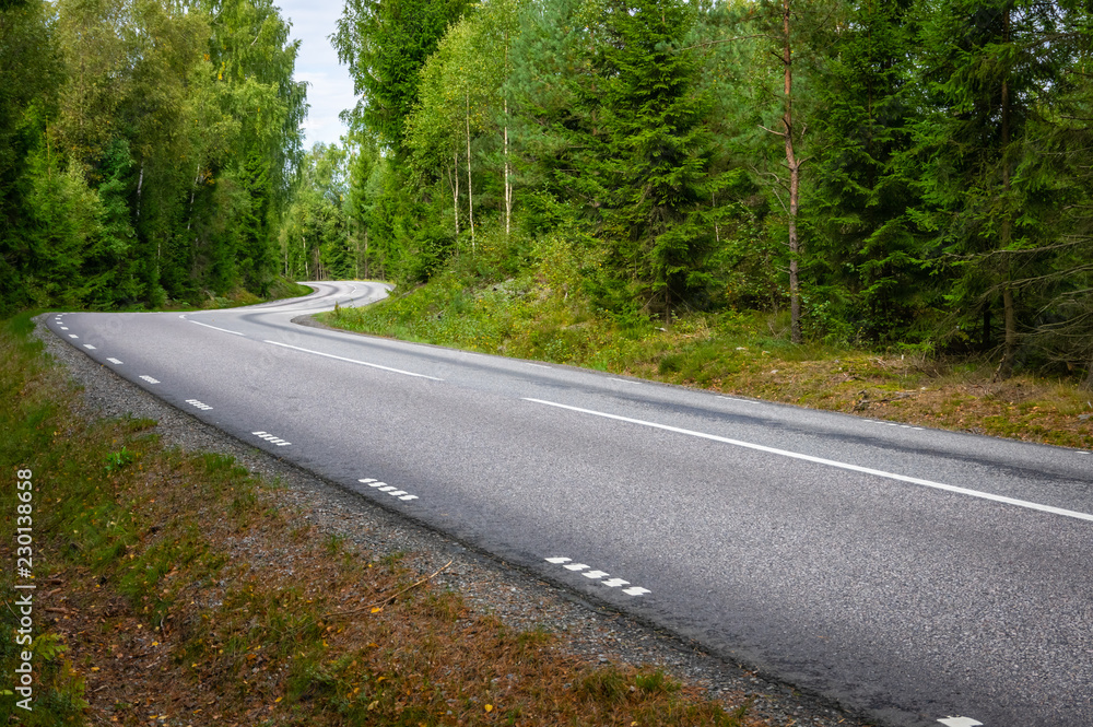 Skogsvägen Skogsvägen