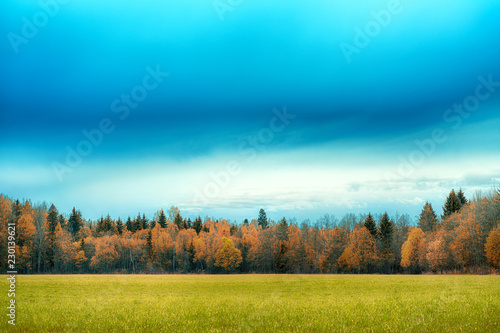 A field strewn with grass and forest. Autumn landscape