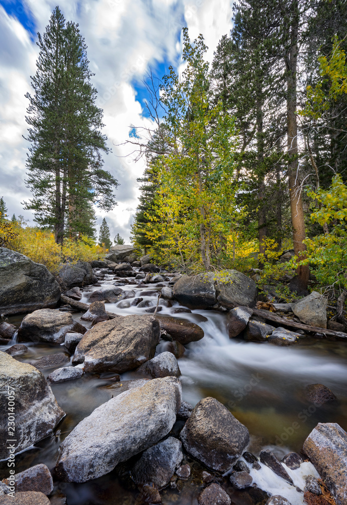 Obraz premium streaming river