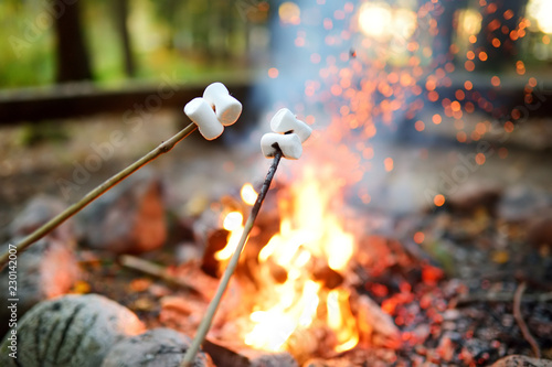 Quadro su tela Roasting marshmallows on stick at bonfire