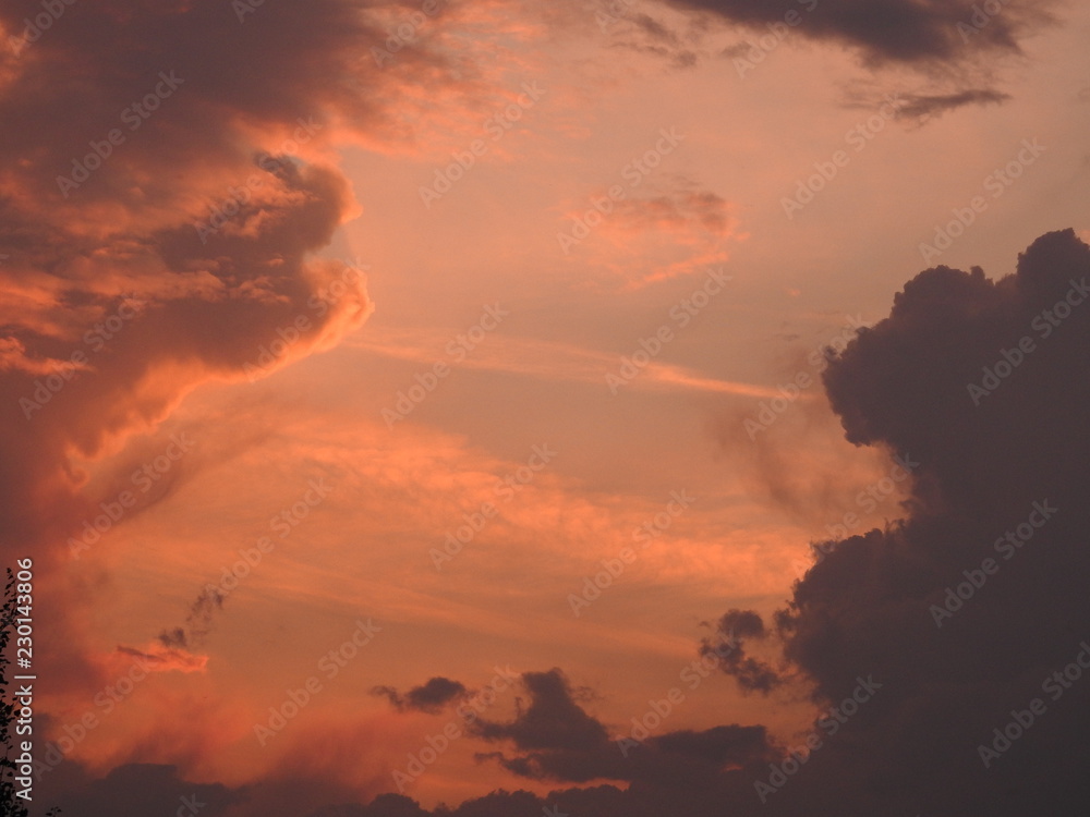Fototapeta premium morning dawn after rain, summer, nature, lilac dawn, sky