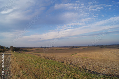 Corn and Clouds