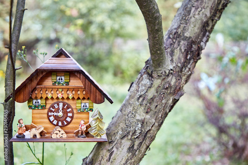 Wooden wall clock in the form of a house stand in the branches of a tree. Against the backdrop of bright green. © Maxim