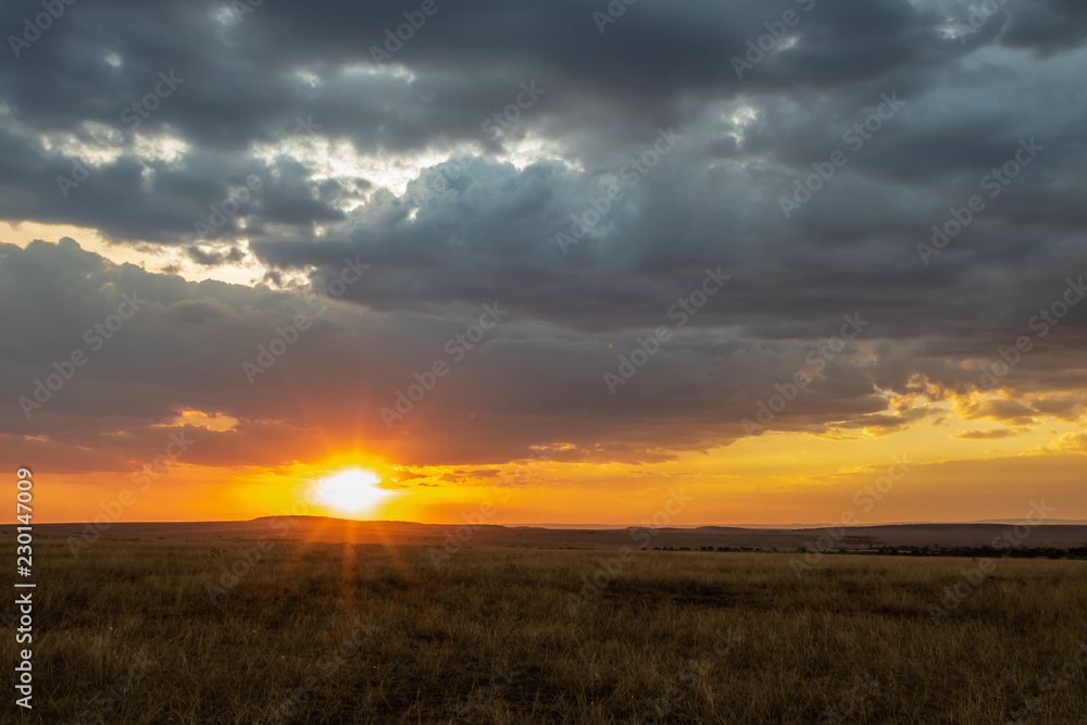 African landscape at sunset with starburst sun, tall grass and dark clouds 