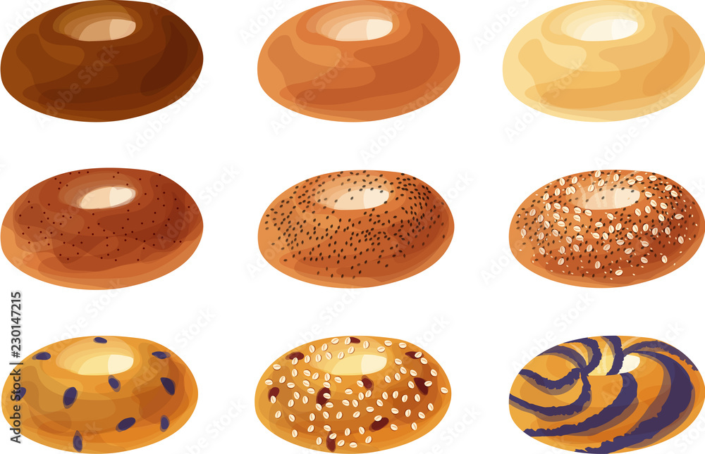 Plain, Cinnamon Sugar, Poppy Seed, Everything, Blueberry, Cranberry and Oat, and Blueberry Swirl Bagels. Isolated vector illustrations. Plain, Cinnamon Sugar, Poppy Seed, Everything, Blueberry, Cranberry and Oat, and Blueberry Swirl Bagels. Isolated vector illustrations.