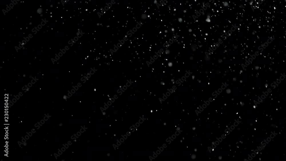 White Snow Falling on Isolated Black Background, Shot of Flying Snowflakes Bokeh, Dust Particles or Powder in the Air. Holiday Overlay Effect White Snow Falling on Isolated Black Background, Shot of Flying Snowflakes Bokeh, Dust Particles or Powder in the Air. Holiday Overlay Effect