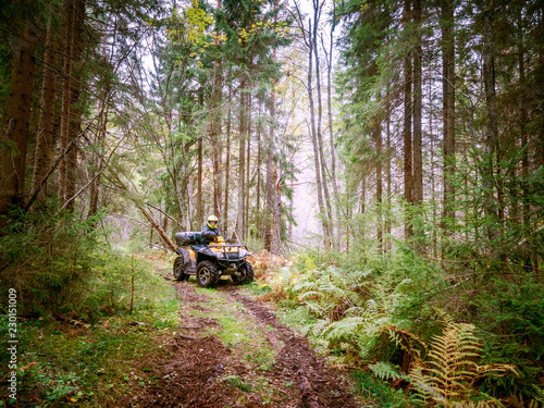 Off-road. A man is riding in an all-terrain vehicle through the forest. ATV. Travel through the forest. All-terrain vehicle. A man controls the ATV. Quad bike.