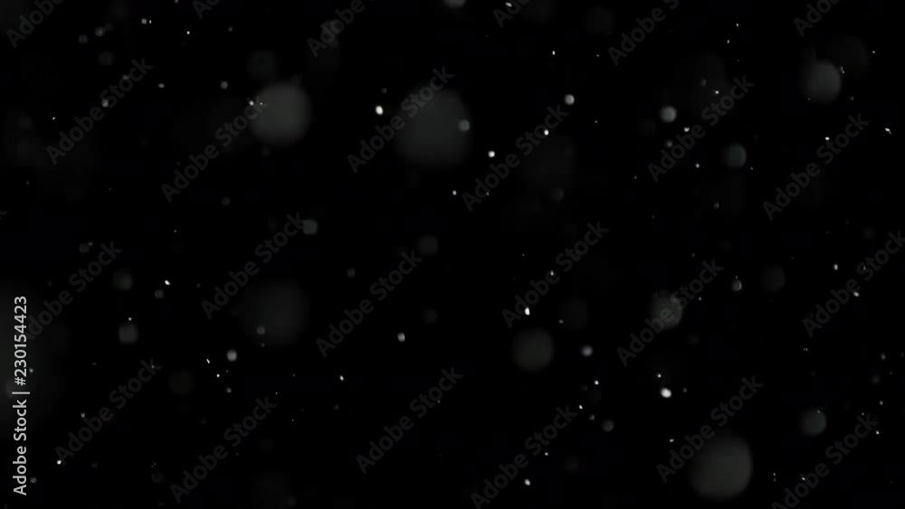 White Snow Falling on Isolated Black Background, Shot of Flying Snowflakes Bokeh, Dust Particles or Powder in the Air. Holiday Overlay Effect White Snow Falling on Isolated Black Background, Shot of Flying Snowflakes Bokeh, Dust Particles or Powder in the Air. Holiday Overlay Effect