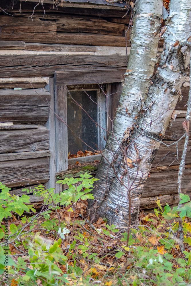 Obraz premium nature remains while people go