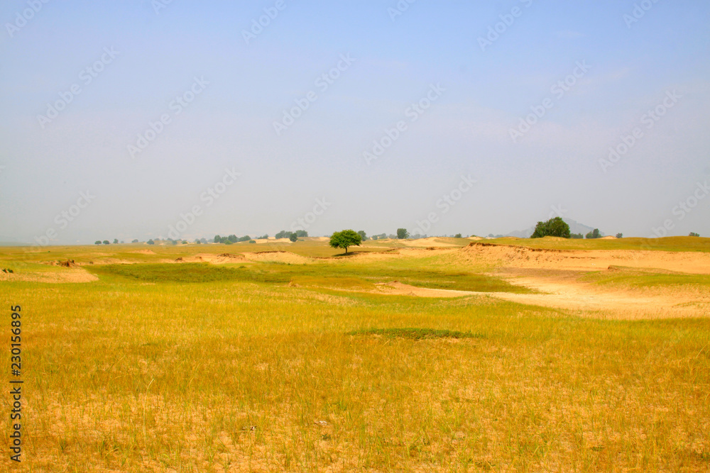 desertification grassland in the WuLanBuTong grassland, China