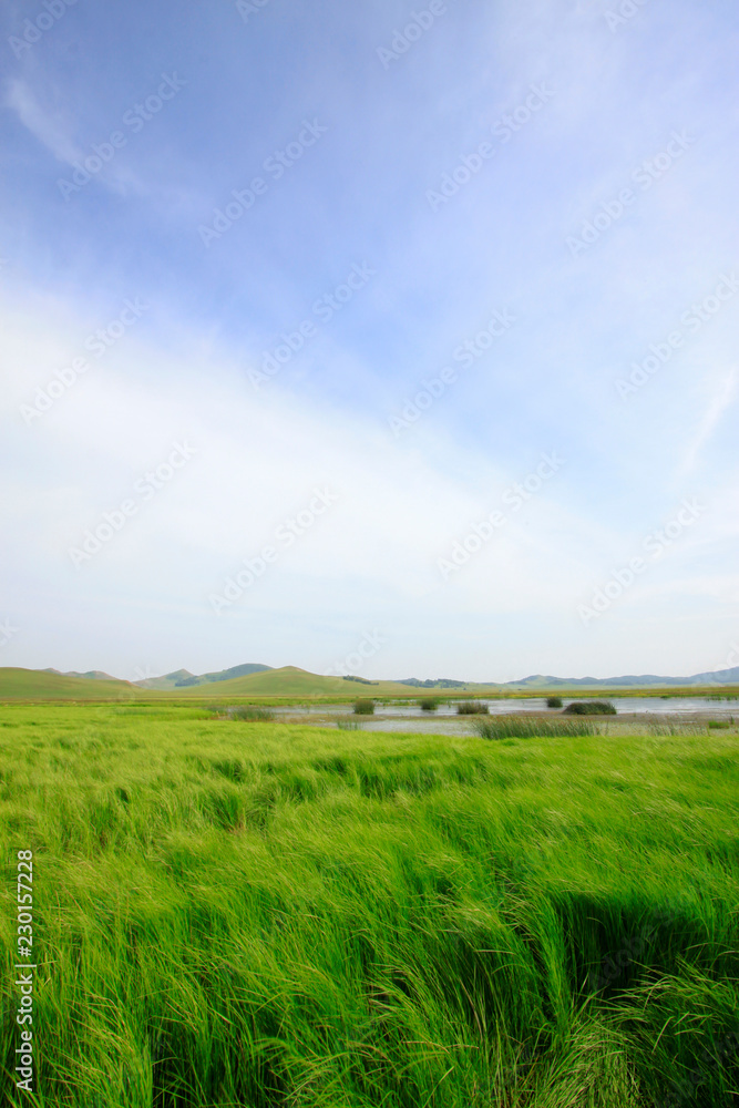 beautiful natural scenery in the WuLanBuTong grassland, China beautiful natural scenery in the WuLanBuTong grassland, China