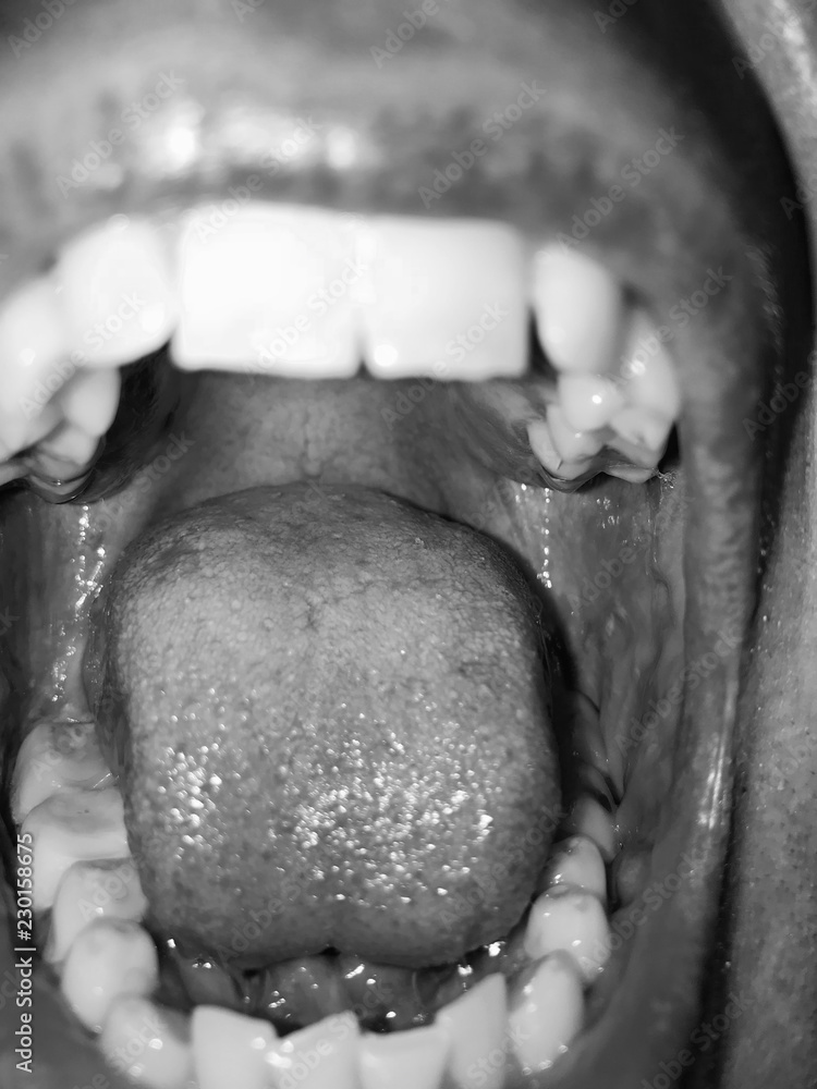 Obraz premium open mouth with teeth and tongue