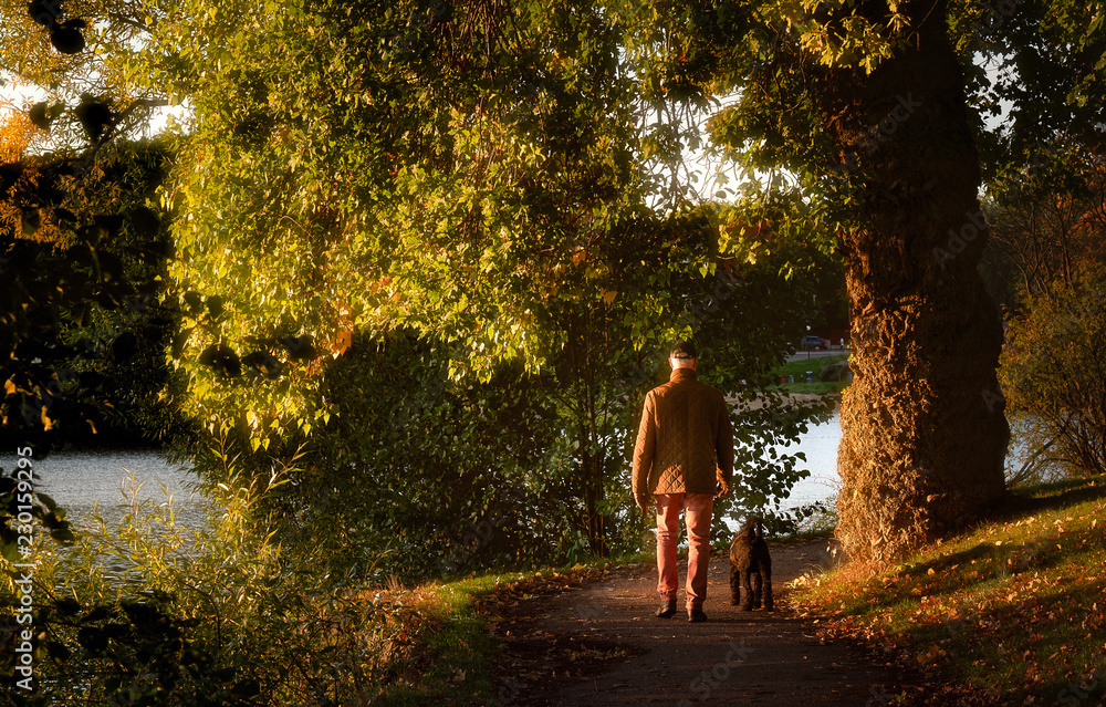 Fototapeta premium A walk in the park