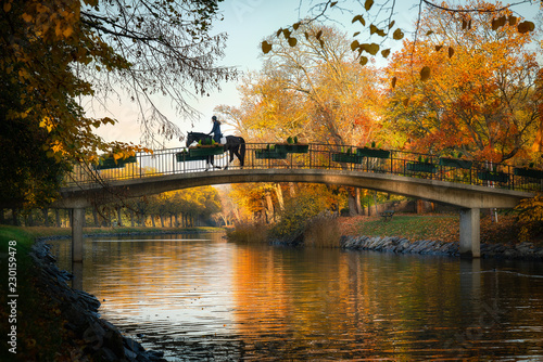 Photography A magical scene in stockholm city