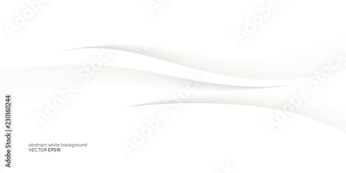 Fotografie, Obraz Abstract white background 3D concave wave texture smooth curve line with shadow