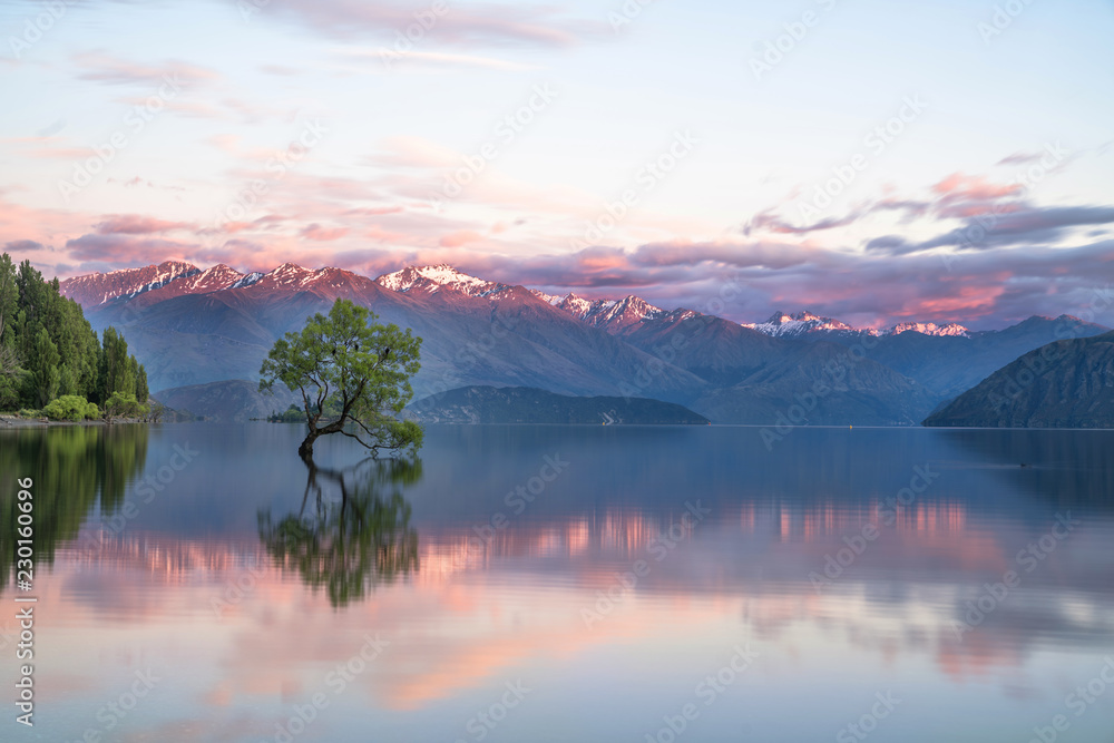 lonely tree in the lake