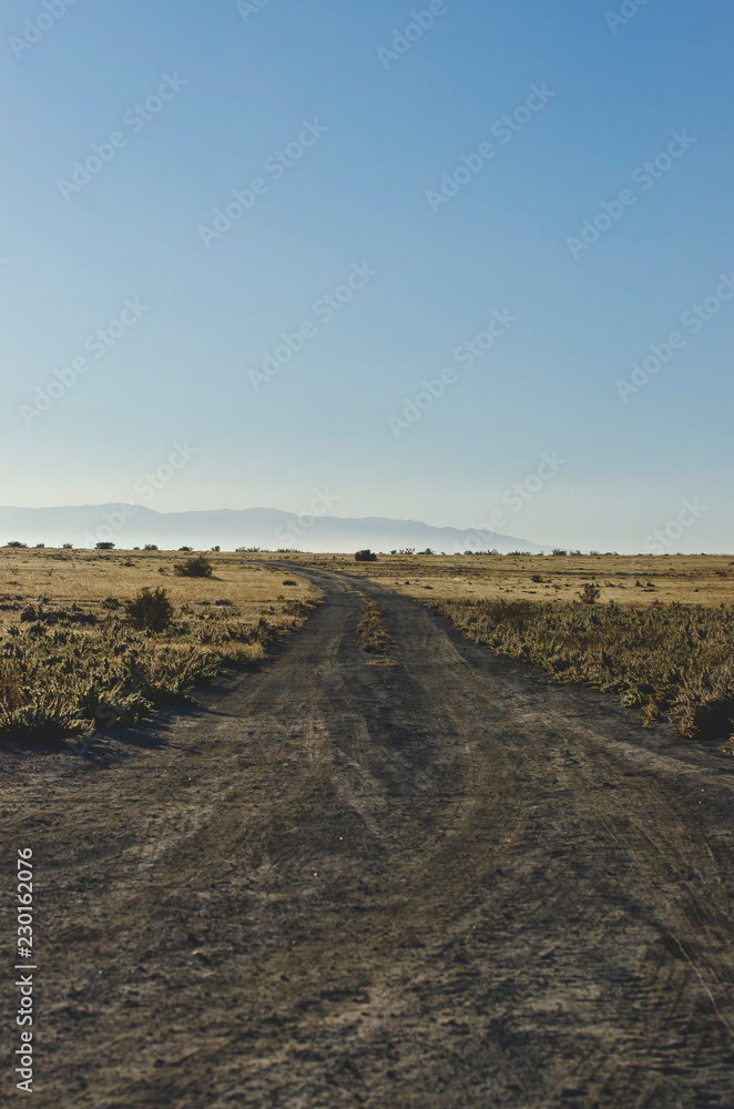 A long view of the dirt road heading off into the bright yellow desert sun. 