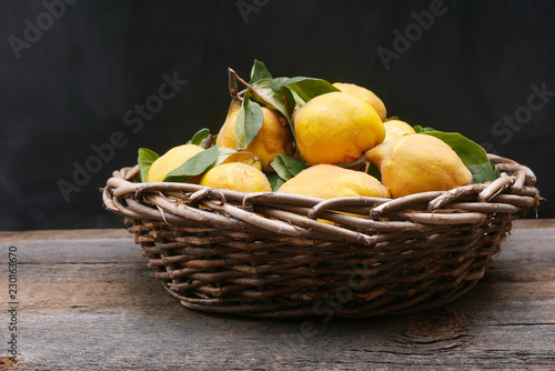 a large woven basket filled with yellow quince with leaves and stems on a rustic table with a black background