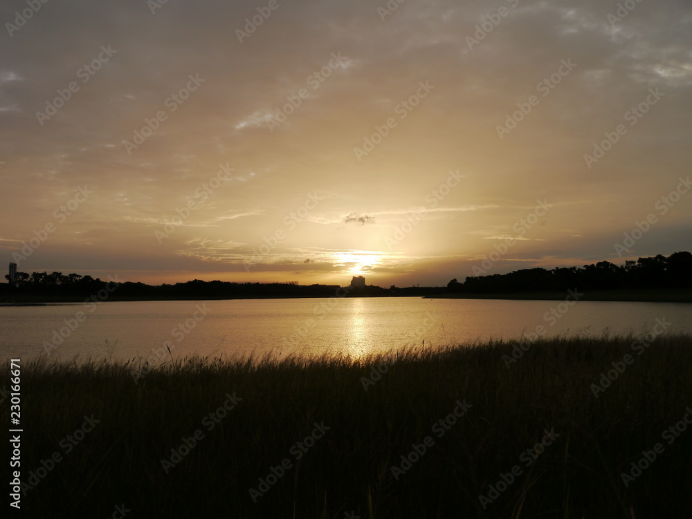 sunset in the park sunset in the park