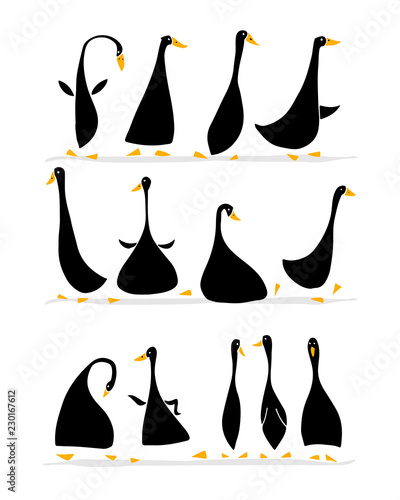 Funny goose set, sketch for your design