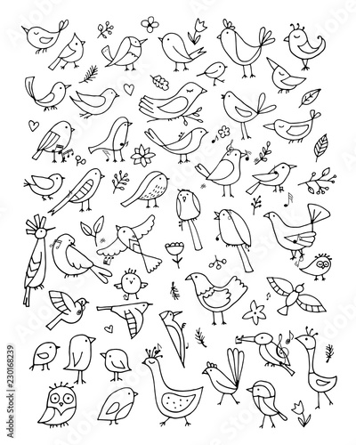 Birds collection, sketch for your design