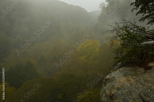 Foggy Overlook 2