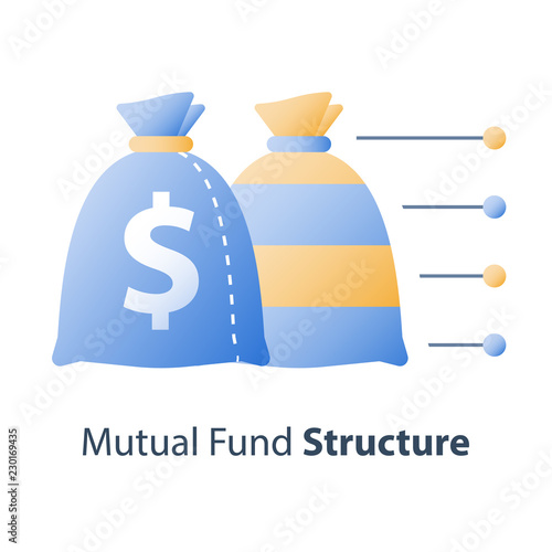 Asset diversification, investment fund structure, mutual fund concept, financial solution, capital distribution
