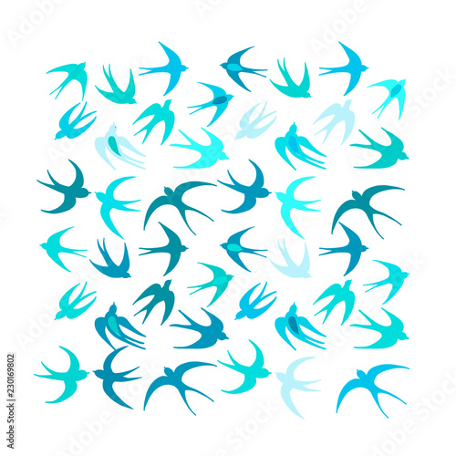 Swallows, background for your design