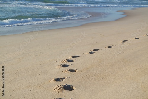 sand dunes of sao jacinto beach near aveiro