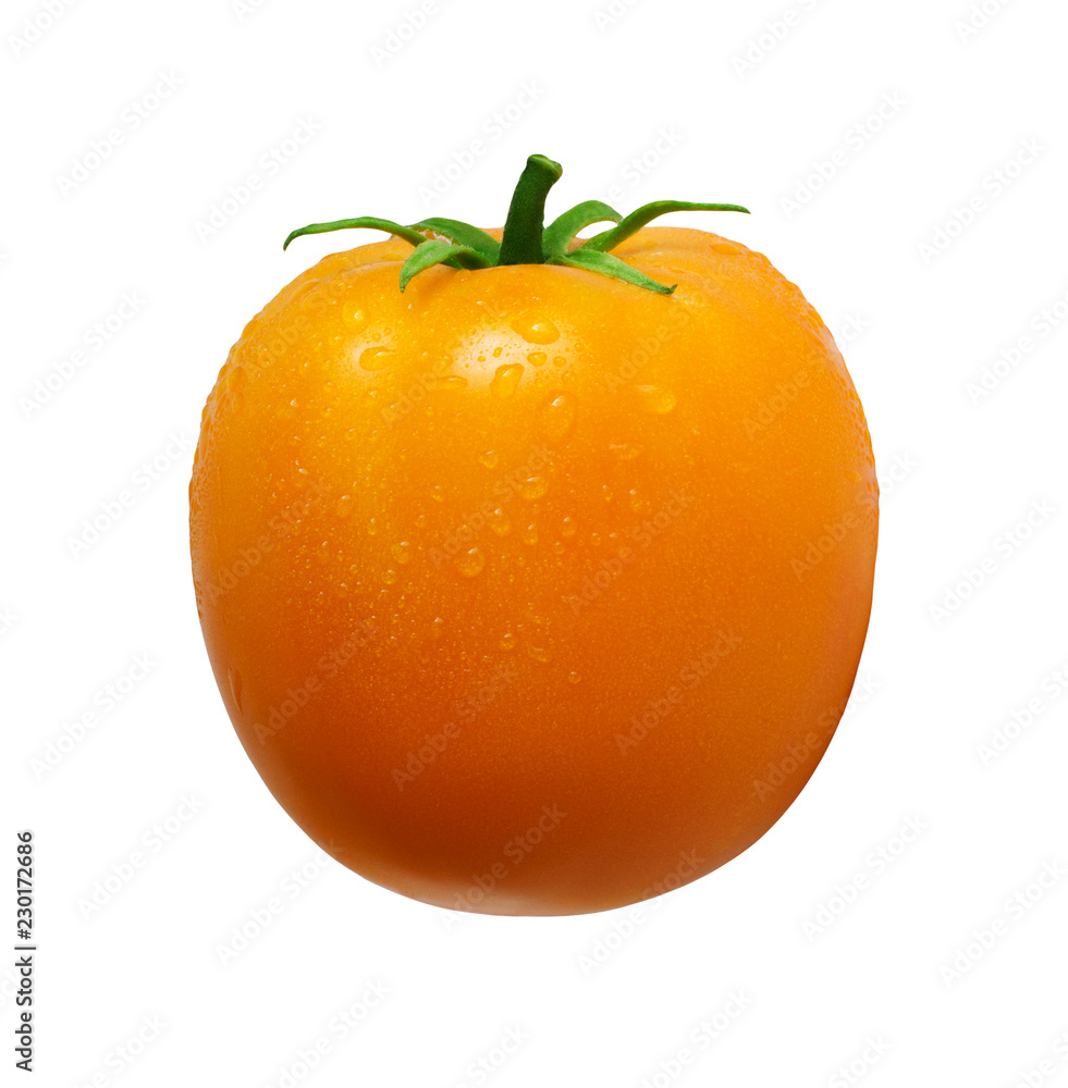 One whole yellow tomato in water droplets isolated on white background. Vegetable for packing. Seasonal product. One whole yellow tomato in water droplets isolated on white background. Vegetable for packing. Seasonal product.