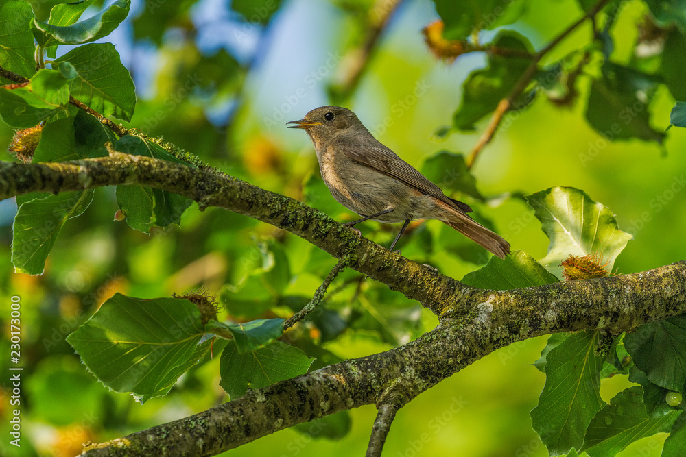 Wildpark Eichert Wildpark Eichert