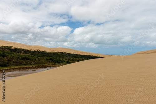 Giant sand dunes at Te-Paki on the 90 Mile beach
