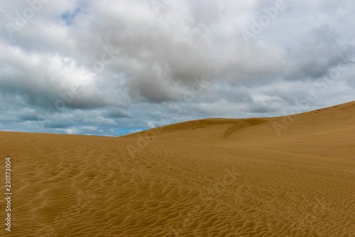 Ridge line of giant sand dunes against the sky