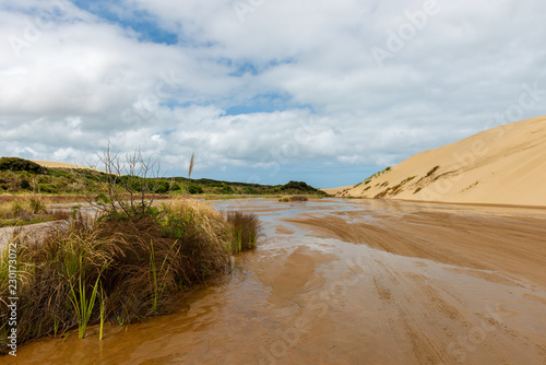 Giant sand dunes at Te-Paki on the 90 Mile beach
