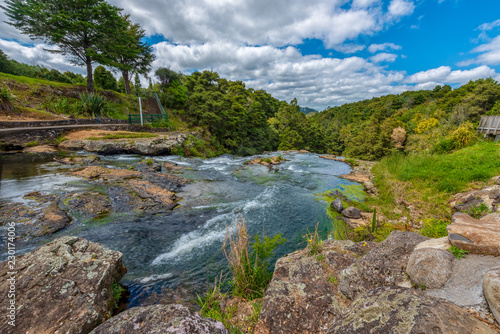 Scenic reserve surrounding the Hatea River in Whangerei New Zealand