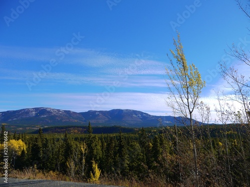 Beautiful nature of Whitehorse photo